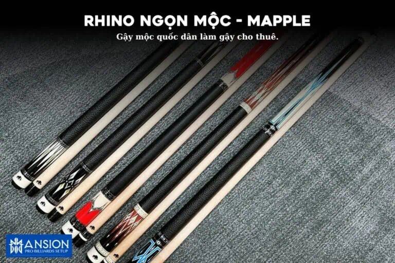 Gay Rhino ngon moc