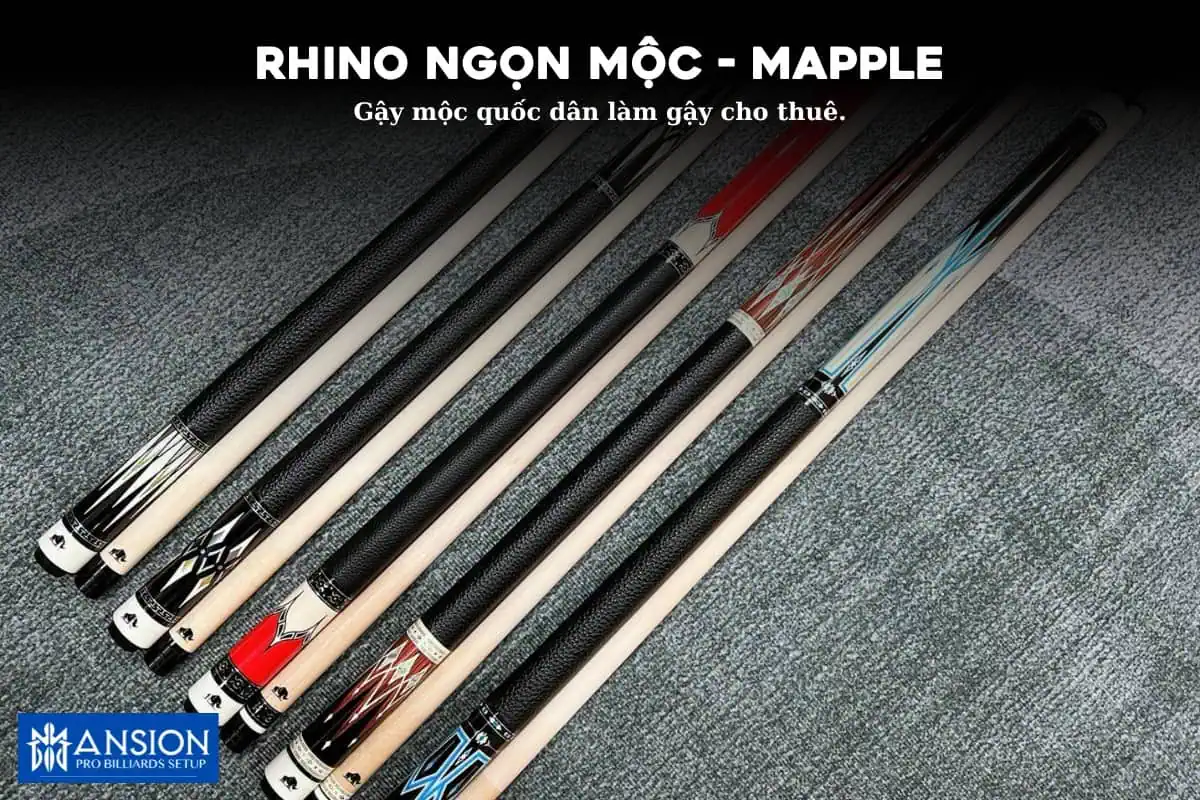 Gay Rhino ngon moc